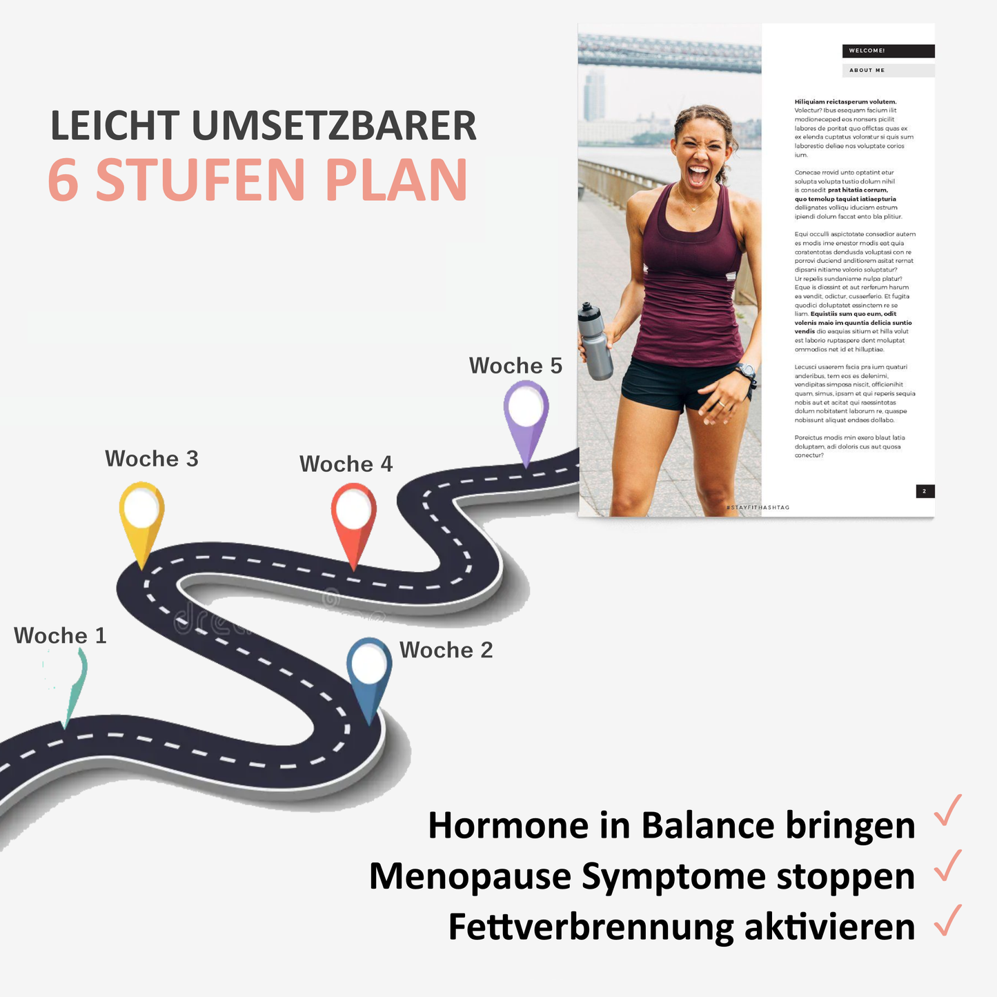 Hormon Bauch (E-book)